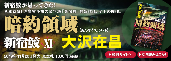 暗約領域 新宿鮫11