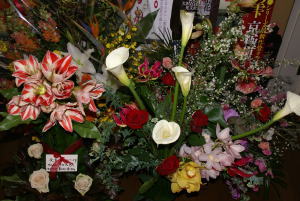 ���X�͂����イ