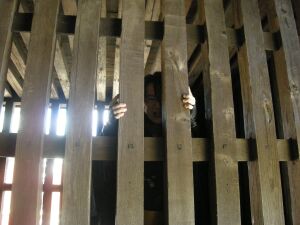 �ߕ߂���Ă݂�