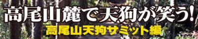 高尾山天狗サミット編