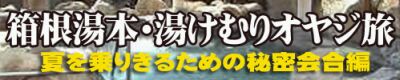 夏を乗りきるための秘密会合編
