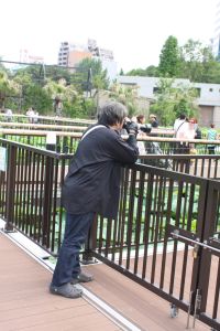 サルをフィルムで撮る