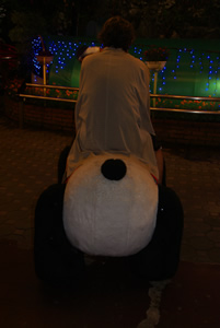 お約束のパンダカー